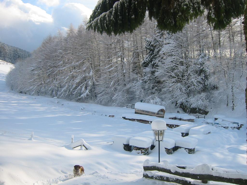 Gasthaus Wollmeiner ชมาลเลนแบร์ก ภายนอก รูปภาพ